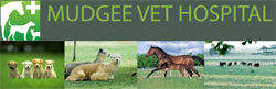 Eurunderee NSW Vets Newcastle