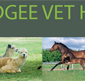 Mudgee Veterinary Hospital - Vets Newcastle