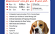 Nicklin Way Veterinary Surgery - thumb 2
