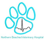 Northern Beaches Veterinary Hospital - Vets Newcastle