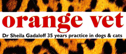 Orange Vet - Vets Newcastle 0