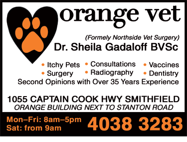 Orange Vet - Vets Newcastle 4