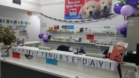 Parap Veterinary Hospital - Vets Newcastle 1