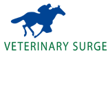 Perez-Olea Antonio Veterinary Surgeon - Vets Newcastle