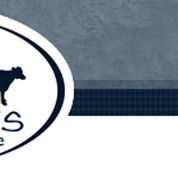 Meadows Veterinary Centre - Vets Newcastle