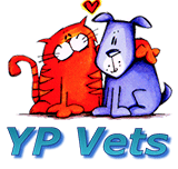 YP Vets - Vets Newcastle