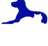 Dr Stephen Crouch Gawler South Small Animal Hospital - Vets Newcastle