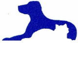 Dr Stephen Crouch Gawler South Small Animal Hospital