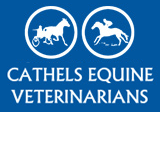Cathels Equine Veterinarians - Vets Newcastle