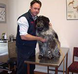 Sunbury All Creatures - Vets Newcastle