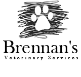 Brennan's Veterinary Services - Vets Newcastle