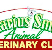 Marius Small Animal Veterinary Clinic - Vets Newcastle
