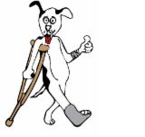 Richmond Veterinary Hospital - Vets Newcastle
