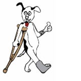Richmond Veterinary Hospital - Vets Newcastle 0