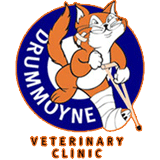 Drummoyne Veterinary Clinic - Vets Newcastle