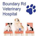 Boundary Road Veterinary Hospital Peakhurst - Vets Newcastle
