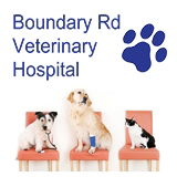 Boundary Road Veterinary Hospital Peakhurst