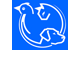 Croydon Park Veterinary Clinic & Boarding Cattery - Vets Newcastle 0