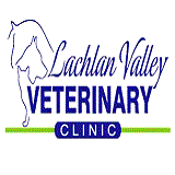 Lachlan Valley Veterinary Clinic - Vets Newcastle