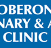 Oberon Veterinary and Animal Clinic - Vets Newcastle