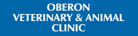 Oberon Veterinary And Animal Clinic - Vets Newcastle 0