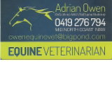 ADRIAN OWEN Equine Veterinarian - Vets Newcastle
