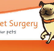 High Street Vet Surgery - Vets Newcastle