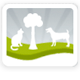 Acacia Animal Care Holistic Vet, Herbal Medicine, Acupuncture, Reiki, Homeopathy, Structural Balancing, Nutrition - thumb 0