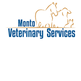 Three Moon QLD Vets Newcastle