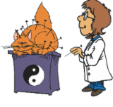 ACU-PET Veterinary Acupuncture - Vets Newcastle