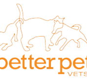 Better Pet Vets Northern Beaches - Vets Newcastle