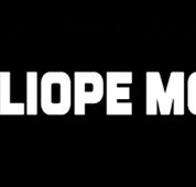 Calliope Mobile Vet - Vets Newcastle