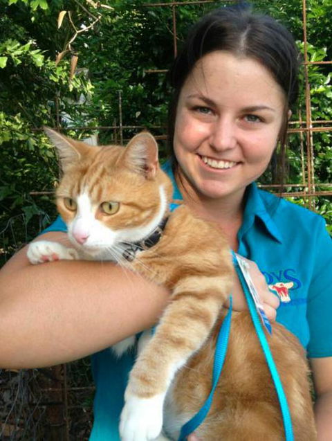 Proserpine Vet Surgery - Vets Newcastle 16