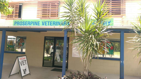 Proserpine Vet Surgery - Vets Newcastle 1