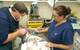 Proserpine Vet Surgery - thumb 2