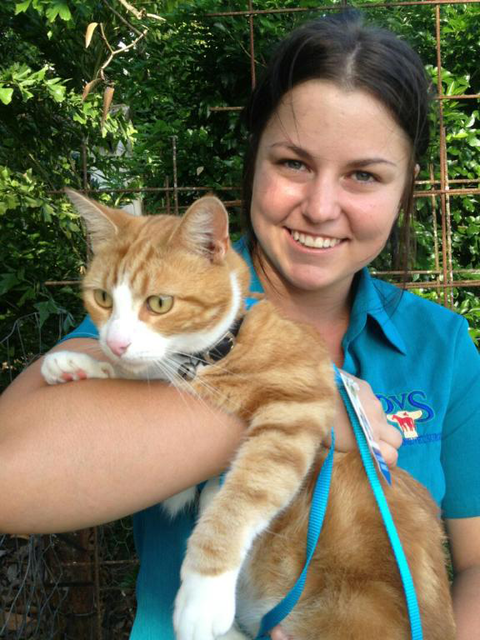 Proserpine Vet Surgery - Vets Newcastle 3
