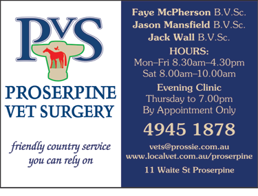 Proserpine Vet Surgery - Vets Newcastle 6