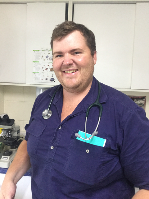 Proserpine Vet Surgery - Vets Newcastle 7