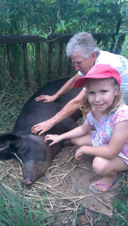 Proserpine Vet Surgery - Vets Newcastle 8