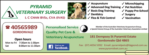 Pyramid Veterinary Surgery - Vets Newcastle 2