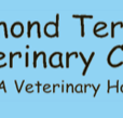 Raymond Terrace Veterinary Clinic - Vets Newcastle
