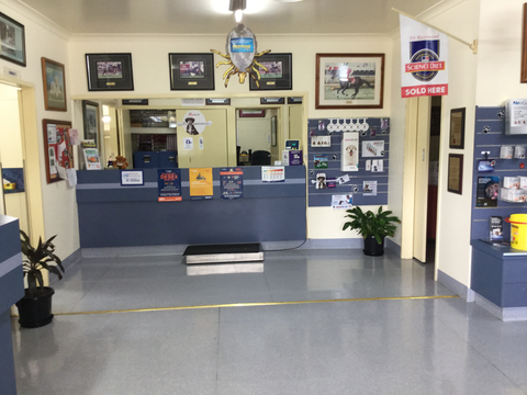 SBVets - Vets Newcastle 3