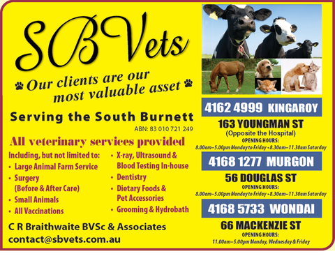 SBVets - Vets Newcastle 4