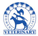 Seth McIntosh Bowen Vet - Vets Newcastle