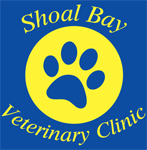 Shoal Bay NSW Vets Newcastle