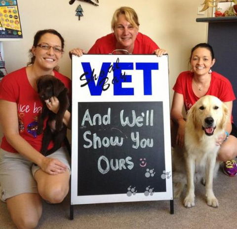 Shoal Bay Veterinary Clinic - Vets Newcastle 4