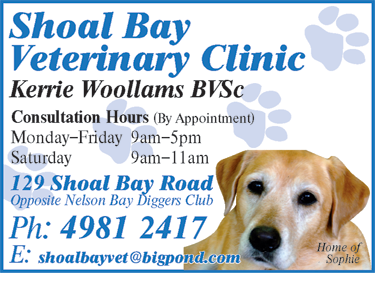Shoal Bay Veterinary Clinic - Vets Newcastle 6