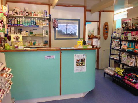 Sunshine Beach Veterinary Surgery - Vets Newcastle 3