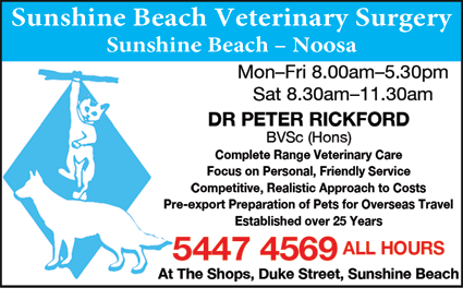 Sunshine Beach Veterinary Surgery - Vets Newcastle 6
