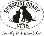 Sunshine Coast Vets